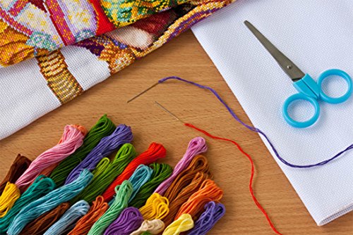 Paxcoo 124 Skeins Embroidery Floss Cross Stitch Thread with Needles - color: 124 Colors