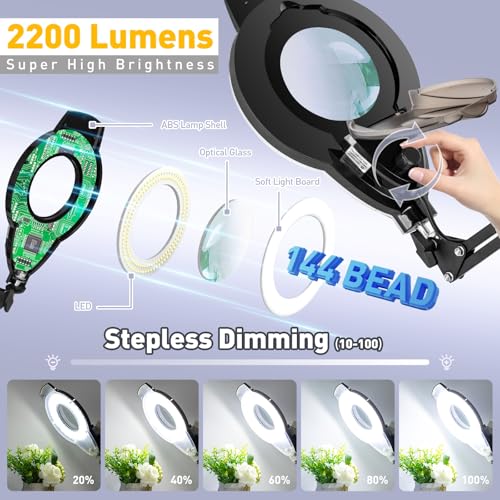 2200 Lumens Mag Lamp for Estheticians, 2-in-1 Magnifier Floor Light - color: Black