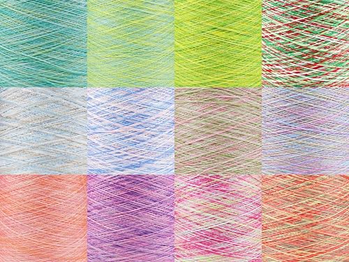 KCS 328 Yards Mercerized Pearl Cotton Crochet Needlepoint Thread,Size 5,12 skeins,Color Variegated - color: 12 Color variegated 01, size: 12 skeins
