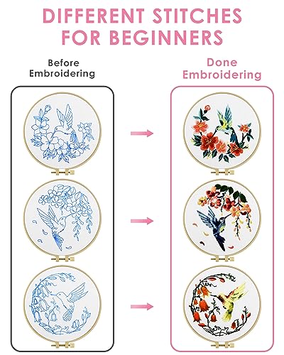 TINDTOP Hummingbird and Flower Embroidery Kit for Adults