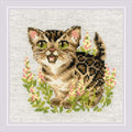 RIOLIS 2119 Bengal Kitten Counted Cross Stitch Kit 6 x 6 in - style: Bengal Kitten 2119