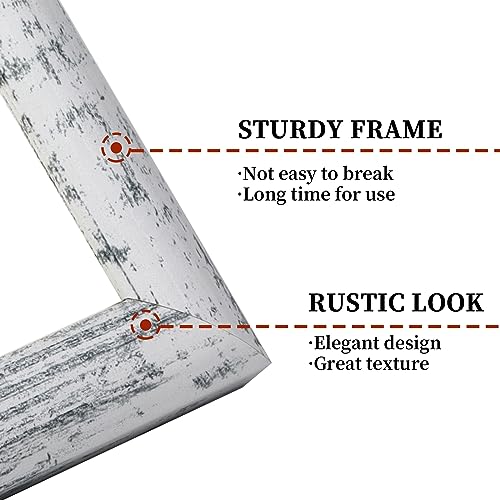 AEVETE Picture Frame 10x10 White Wash Photo Frames Rustic for Wall and Desk - color: White Wash, size: 10x10