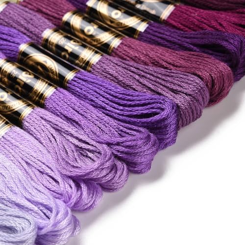 12 Skeins 105 Yds Embroidery Floss Bulk, Variegated Polyester 6 Strands for Friendship Bracelet Cross Stitch Jewelry Making Craft (Winter) - color: Winter