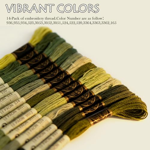 Premium Rainbow Color Embroidery Floss - Cross Stitch Threads - Friendship Bracelets Floss - Crafts Floss - 14 Skeins Per Pack Embroidery Floss, Light Moss Green,Gradient - color: Lt Moss Green,Gradient
