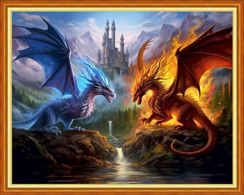 Dimensean Stamped Cross Stitch Kits Full Range of Embroidery Patterns Starter Kits for Beginners Adult DIY Cross Stitches Needlepoint Kits 11CT-Water Fire Dragon 16x20 inch - color: Craftpattern61