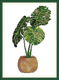 CaptainCrafts Cross Stitch Kits, New Stamped Kit Printed 11CT Fabric Cross Stitching DIY Art DMC Needlecrafts Embroidery Kit for Adults Beginner (Stamped, Monstera deliciosa) - color: Monstera deliciosa, style: Stamped