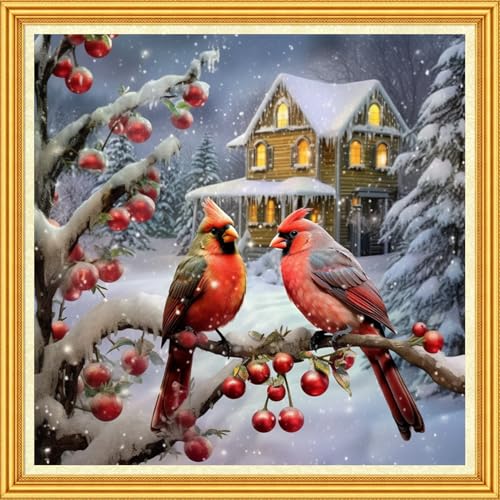 Foxhool Stamped Cross Stitch Kits,11CT Printed Cross Stitch Pattern Full Embroidery Kits for Beginner Needlepoint Kits-Little Bird Snow Scene 18x18 inch - color: Craftpatterns36