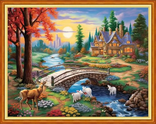 Dimensean Stamped Cross Stitch Kits Full Range of Embroidery Patterns Starter Kits for Beginners Adult DIY Cross Stitches Needlepoint Kits 11CT-Dream Home 16x20 inch - color: Arts kits 17