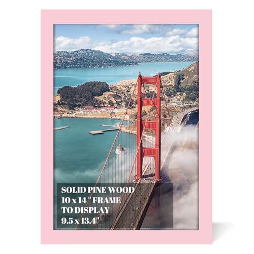 10x14 inch Wood Picture Frames for Wall Hanging,Diamond Painting Frames Rectangle Baby Scan Picture Frame for Family Walls Decoration,Anniversary,Wedding,Christmas,Halloween,Shower,Certificate (Pink) - color: Pink, size: 10x14 inch