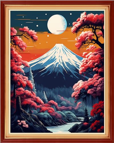 Funxvoot Stamped Cross Stitch Kits Beginners Full Range of Embroidery Kits for Adults 11CT Embroidery Patterns Needlepoint Kits Printed Cross Stitch Kits-Moon Night Scene 16x20 inch - color: Craftsstyle09