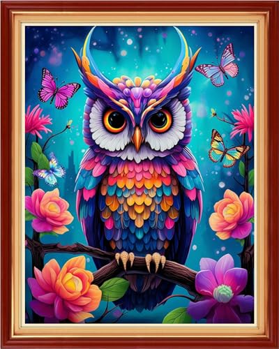 Magxvouy Cross Stitch Kits Stamped Full Range of Embroidery Kits,Cross Stitch Patterns Needlework Kits for Beginners 11CT Printed Kits&Colorful owl Flowers 16x20 inch - color: Artcolor03