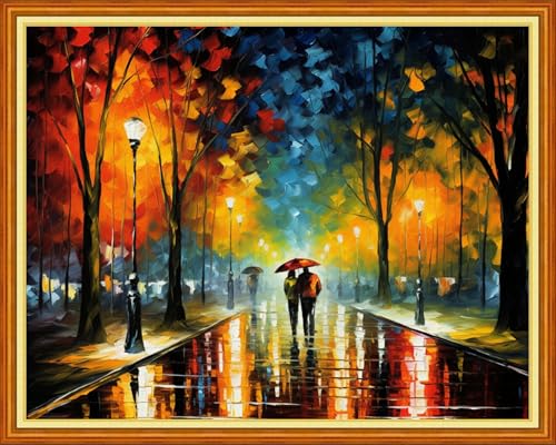 Funchey Stamped Cross Stitch Kits, DIY Cross Stitch Pattern for Adults Beginners Needlepoint Kits Embroidery Kit Arts and Crafts 11CT&Lovers Walk 16x20 inchs - color: HandicraftColor14