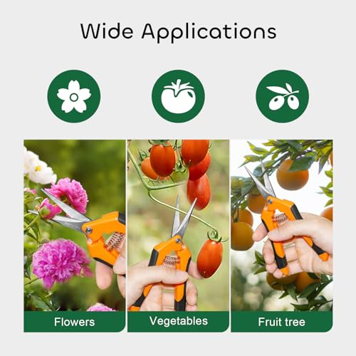 GROWNEER 6 Packs Pruning Shears Gardening Hand Pruning Snips with Straight Stainless Steel Precision Blades - style: Orange