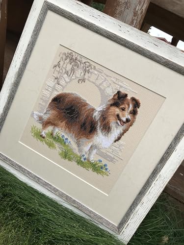 RIOLIS 1710 Sheltie Counted Cross Stitch Kit 9.84 x 9.84 in