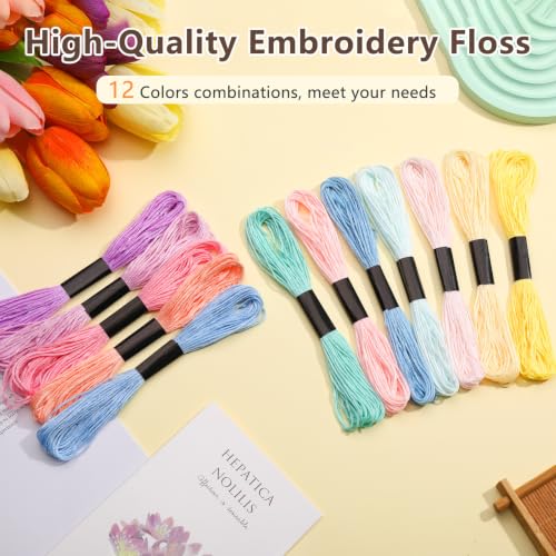 Embroidery Floss, 12 Colors Cotton Friendship Bracelet String - color: Pastel Series
