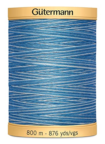 Natural Cotton Thread Variegated 876 Yards-Blue Awakening