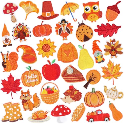 AUGSUN 36Pcs Fall Autumn Iron on Patches Thanksgiving Day Sew Applique - style: Fall Thanksgiving Style