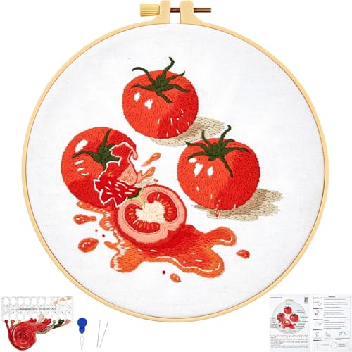 Tomato Embroidery Kits for Beginners Adults, Hand Embroidery Starter Kit, Cross Stitch Kits for Beginners DIY Craft Kits for Adults Women, Entire Set of Embroidery Supplies【Full-length Video Tutorial】 - color: H2059, size: 8Inch
