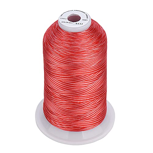 Simthread - 33 Selections - Various Assorted Color Packs of Polyester Embroidery Machine Thread Huge Spool 5500Y for All Sewing Embroidery Machines - 3 Variegated Colors 2 - color: 3 Variegated Colors 2
