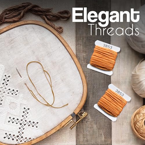 Embroidery Floss Kit and Refills - Cotton Threads - DMC Color Coding for Cross Stitch, String Crafts, Friendship Bracelets - color: 3353 Amber