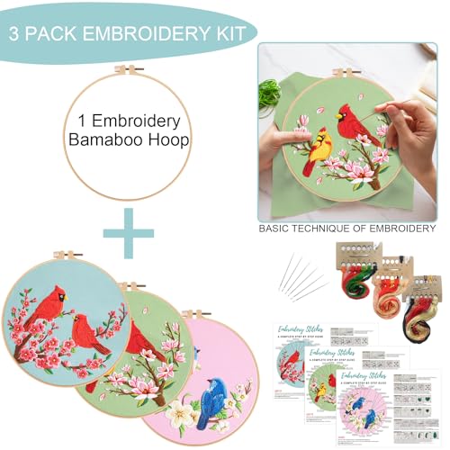 Nuberlic 3 Pack Embroidery Kit for Beginners with Cardinal & Blue Bird - color: Hummingbird and Flower