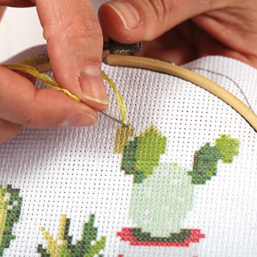 Piutouyar 6 Pieces 4Inch to 10Inch Embroidery Hoops Set, Cross Stitch Hoop