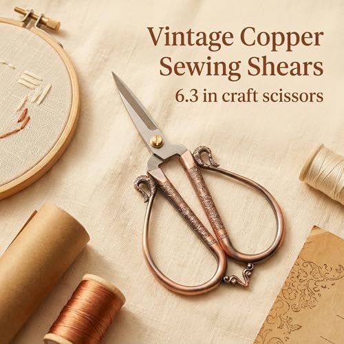 BIHRTC 6.3 Inches Vintage Style Stainless Steel Auspicious Clouds Scissors