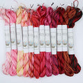 KCS Big skeins of 25 Meters Size 25 Color Variegated Cross Stitch Stranded Threads,12 skeins,05 - color: 12skeins05, size: 12 skeins