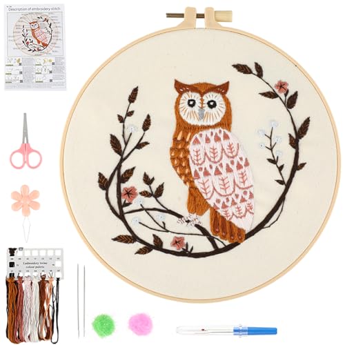 Beginner Owl Embroidery Kit for Adults, Pre-Printed with Video Tutorial - color: Owl