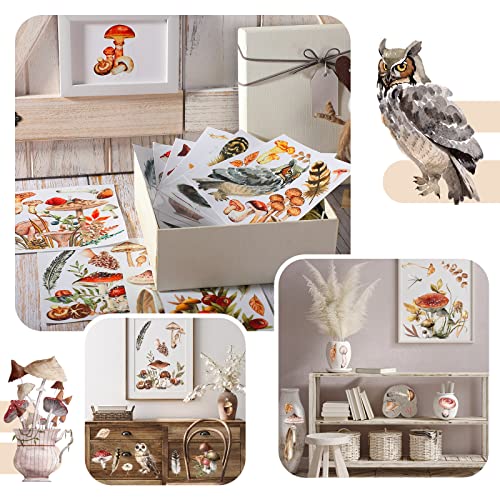 BBTO 12 Sheets Rub on Transfers for Crafts Wood Furniture DIY, 5.5" x 5.7" - style: Mushroom