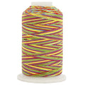 ThreadArt Multicolor Cotton Thread, 600M 40/3, Carnival 2653 - color: Carnival