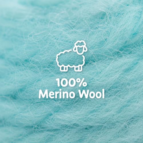 Woolbuddy Merino Wool Roving Kit for Needle Felting (Spring) 10g Per Color - color: Wool Bag Spring