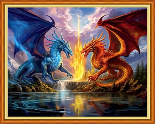 Foxhool Stamped Cross Stitch Kits,11CT Printed Cross Stitch Pattern Full Embroidery Kits for Beginner Needlepoint Kits-Two Dragons 16x20 inch - color: Craftpatterns06