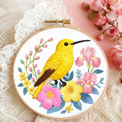 BEUNITONE 6 Set Hummingbird Starter Embroidery Kit with Pre-Stamped Pattern - style: Hummingbird