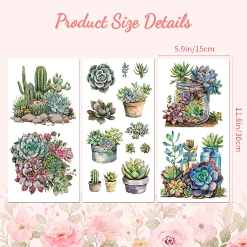 Peacoblue Succulent Rub On Transfers for Furniture Craft 6"x12" - style: Succulent and Cactus