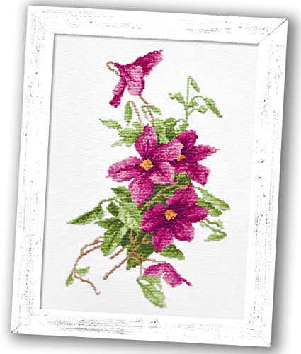 Povitrulya Clematis Flower Star of India Counted Cross Stitch kit - DIY Embroidery Set with Paper Floral Pattern and prestored Floss - color: Clematis