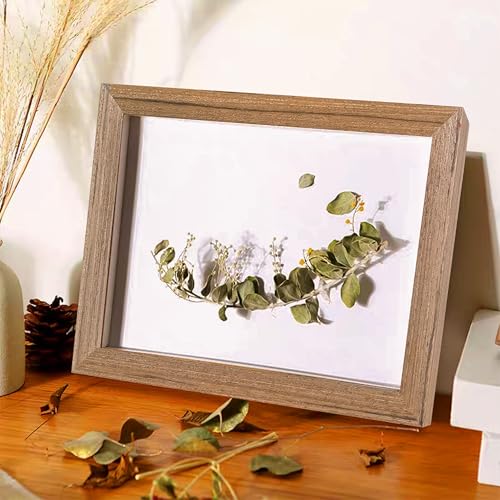 2 Pack Shadow Box Frame 8x10 Shadow Box Display Case Original Wood Picture Frames Glass Surface Internal Depth 0.6 inch for Wall Or Tabletop - color: Dark Wood, size: 8x10 inch