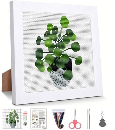 Potted Plant Stamped Cross Stitch Kits for Beginners Adults with Framed - color: DKJ003