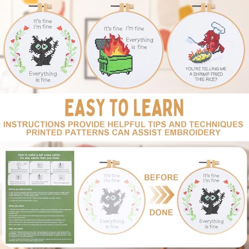 Daifunli 3 Sets Funny DIY Embroidery Kits for Beginners Adults - style: Classic