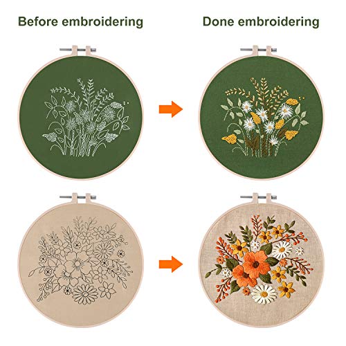 FEPITO 2 Sets Embroidery Starter Kit with Pattern and Instructions
