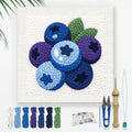 DOODLREAM Fresh Blueberry Punch Needle Kit for Beginner 9.4" x 9.4" - color: Blueberry
