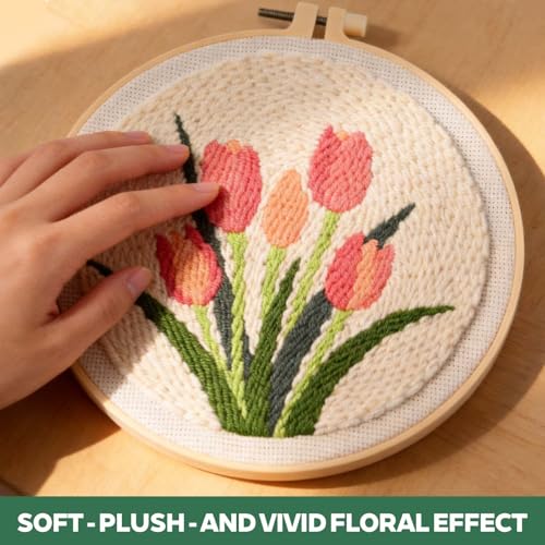 AERXSRET Punch Needle Kit and Embroidery Kit for Adult Beginners, DIY Craft