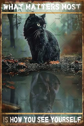 What Matters Most Is How You See Yourself Metal Retro Tin Sign Black Cat Gifts Wall Decor Vintage Sign For The Home Coffee Room Office Living Room Wall Decor 8x12 Inch