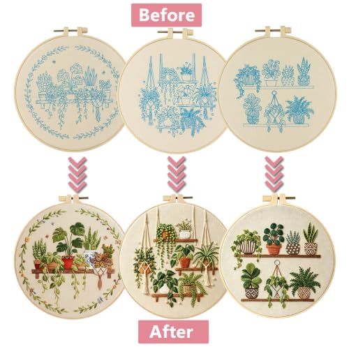3 Packs Embroidery Kit for Adults, Embroidery for Beginners (Plant-1) - color: Plant-1