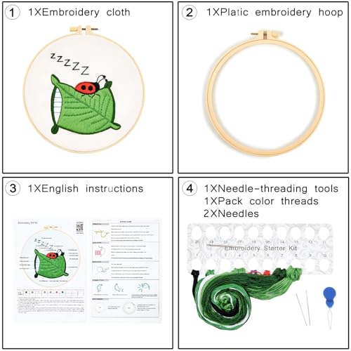 Embroidery Kits for Beginners Adults, Cute Hand Embroidery Starter Kit, Cross Stitch Kits for Beginners DIY Craft Kits for Adults Women, Entire Set of Embroidery Supplies【Full-Length Video Tutorial】 - color: H2062, size: 8Inch