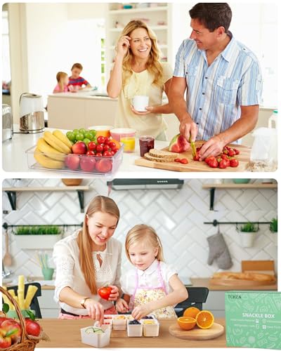 Snackle Box Container Dishwasher Safe Divided Serving Tray with Lid Handle