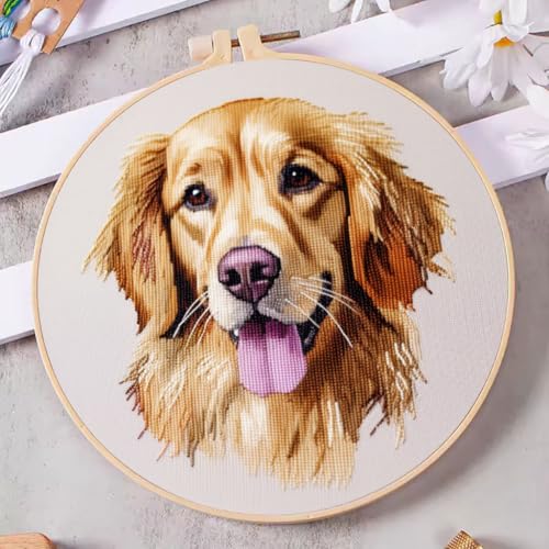 DIY Cross Stitch Kits Golden Retriever with Hoop 20x20cm-1