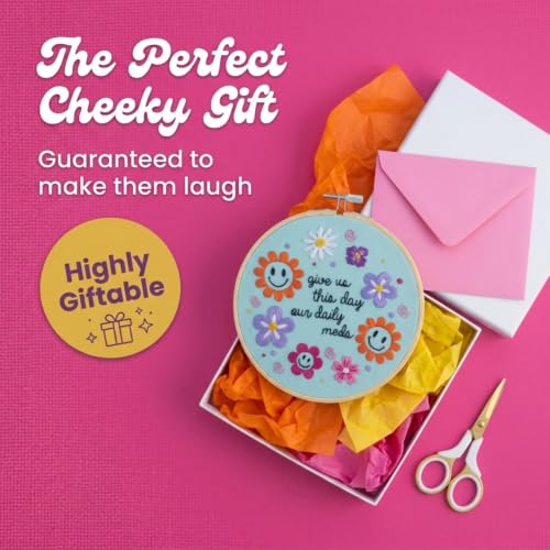 FUNATIC Give Us This Day Our Daily Meds Funny Embroidery Kit for Adults - color: Daily Meds