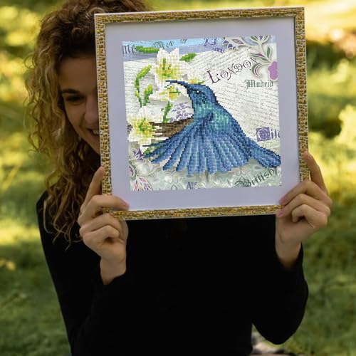 DIAMOND DOTZ Hummingbird Travels Diamond Painting Kit for Adults with Gems - size: 11.8" x 11.8"