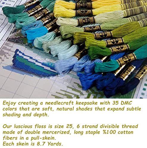 DMC Embroidery Floss, 35 Colors Scenic Tin Bundle with Hand Needles Size 5.